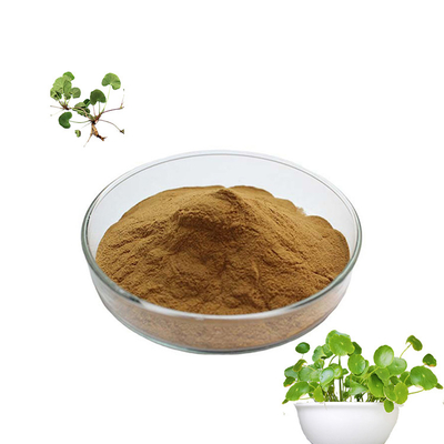 Natural Herb Centella Asiatica Extract Gotu Kola Powder For Sensitive Skin
