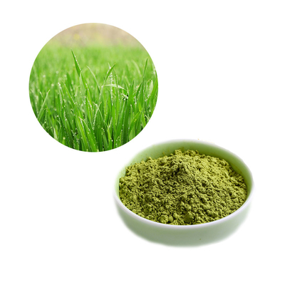 Organic Food Grade Additives Pure Natural Barley Grass Powder