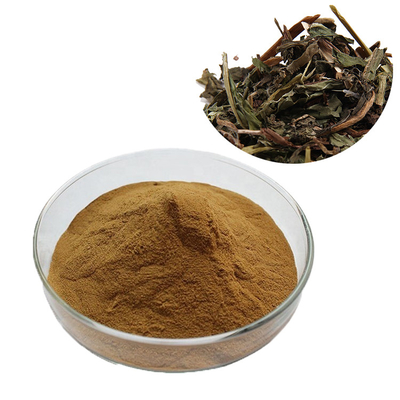 10:1 Food Grade Additives Dandelion Leaf Extract Powder For Healthcare