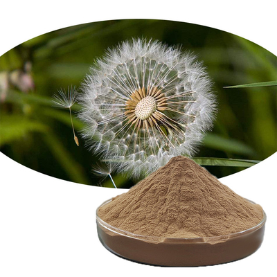 10:1 Food Grade Additives Dandelion Leaf Extract Powder For Healthcare