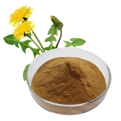 Herbal Extract Food Grade Additives Dandelion Extract Powder