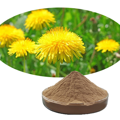 Herbal Extract Food Grade Additives Dandelion Extract Powder