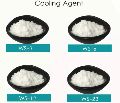 White Powdered WS23 Cooling Agent 99.0% Purity Odorless