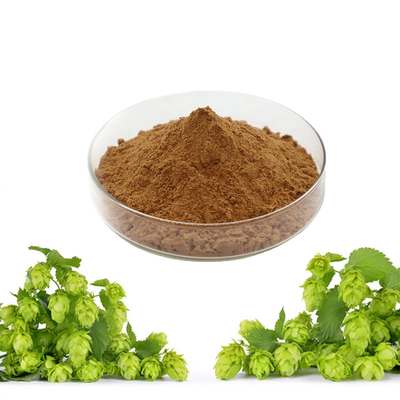 Herbal Humulus Lupulus Extract Hops Flower Powder For Beer Production