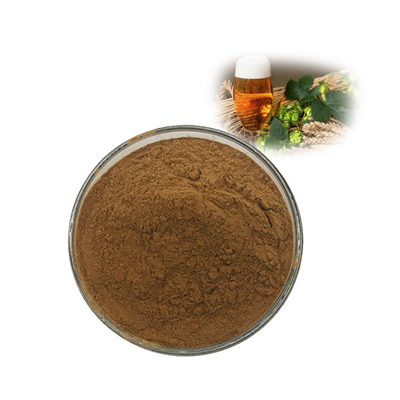 Herbal Humulus Lupulus Extract Hops Flower Powder For Beer Production