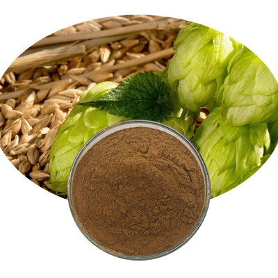 Natural Herbal Hop Flower Extract Powder For Beer Making