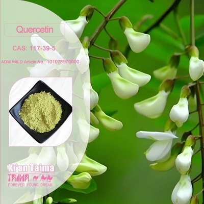 Extracto de plantas Quercetina en polvo 98% Sophora Japonica Extracto CAS 117-39-5