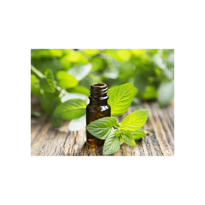 Ficha de Datos de Seguridad de Aditivos de Grado Alimenticio 99% Aceite Esencial de Menta Piperita CAS 8006-90-4