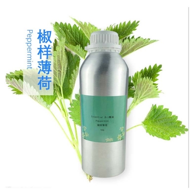 Aceite de Menta Piperita Puro Aceite Esencial de Menta Piperita a Granel Con Muestra Gratuita