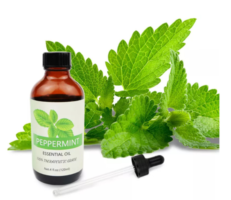 Aceite esencial de menta piperita natural 100% ODM para el cuidado de la piel