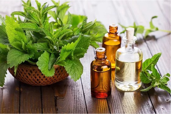 Extracto de Menta Orgánica Natural 100% Aceite Esencial de Menta 30ML