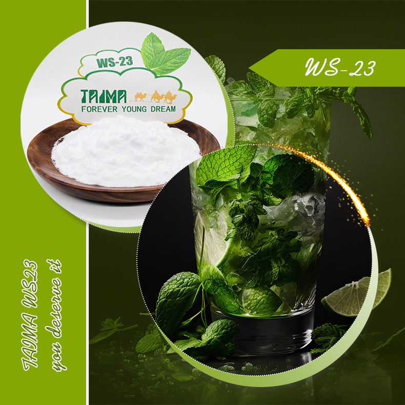 Agente refrigerante WS-23 en polvo 99% CAS no 51115-67-4 Agente refrigerante WS23 para vapeo de alimentos y bebidas