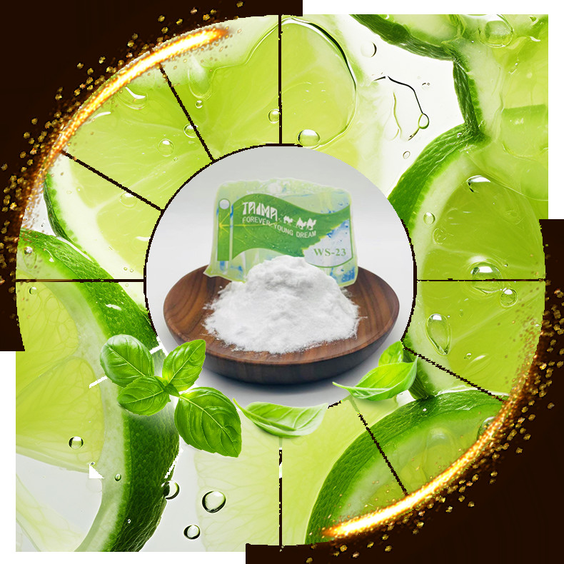 Nombre químico N Pureza 99.0% Min Agente de enfriamiento súper fresco y helado sin olor ni sabor WS23