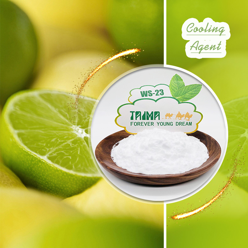 Agente de refrigeración WS-23 XIAN TAIMA Agente de refrigeración de calidad alimentaria en polvo Venta en caliente para bebidas alimentarias E Jugo de vapeo líquido