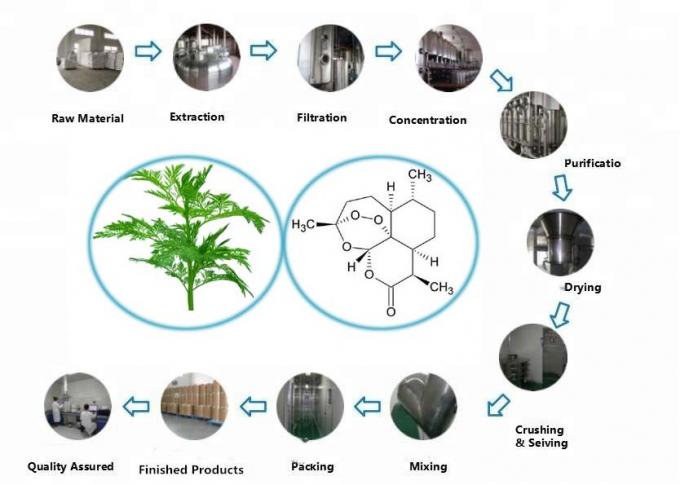 Extracto orgánico puro de Artemisia Annua 99% Pureza CAS 63968-64-9 0