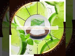 E Liquid CAS 51115-70-9 WS-27 Agente Refrescante en Polvo